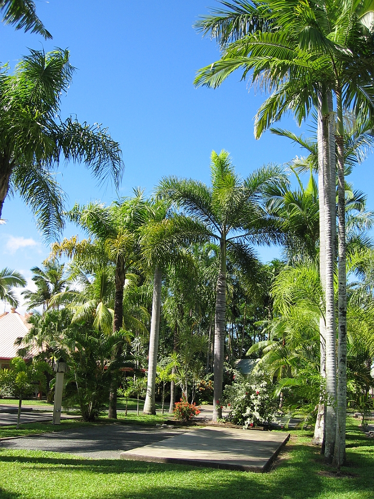 027 Coconut Resort.jpg